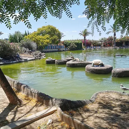 Playa Naufragos. Apartmán *