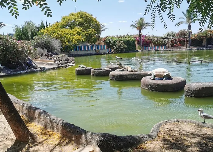 Playa Náufragos. Apartamento *